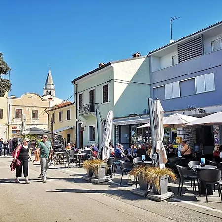 Kuca Za Odmor -m&a-grijani Bazen Appartement Fažana